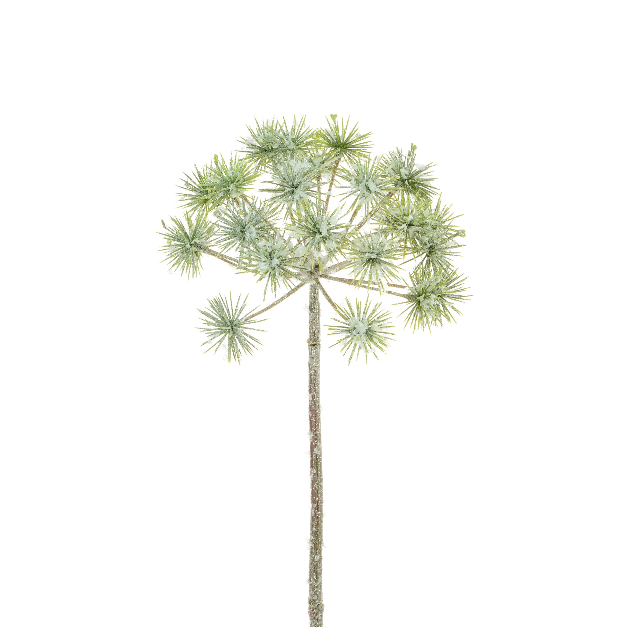 Frosty Giant Dandellion Stem