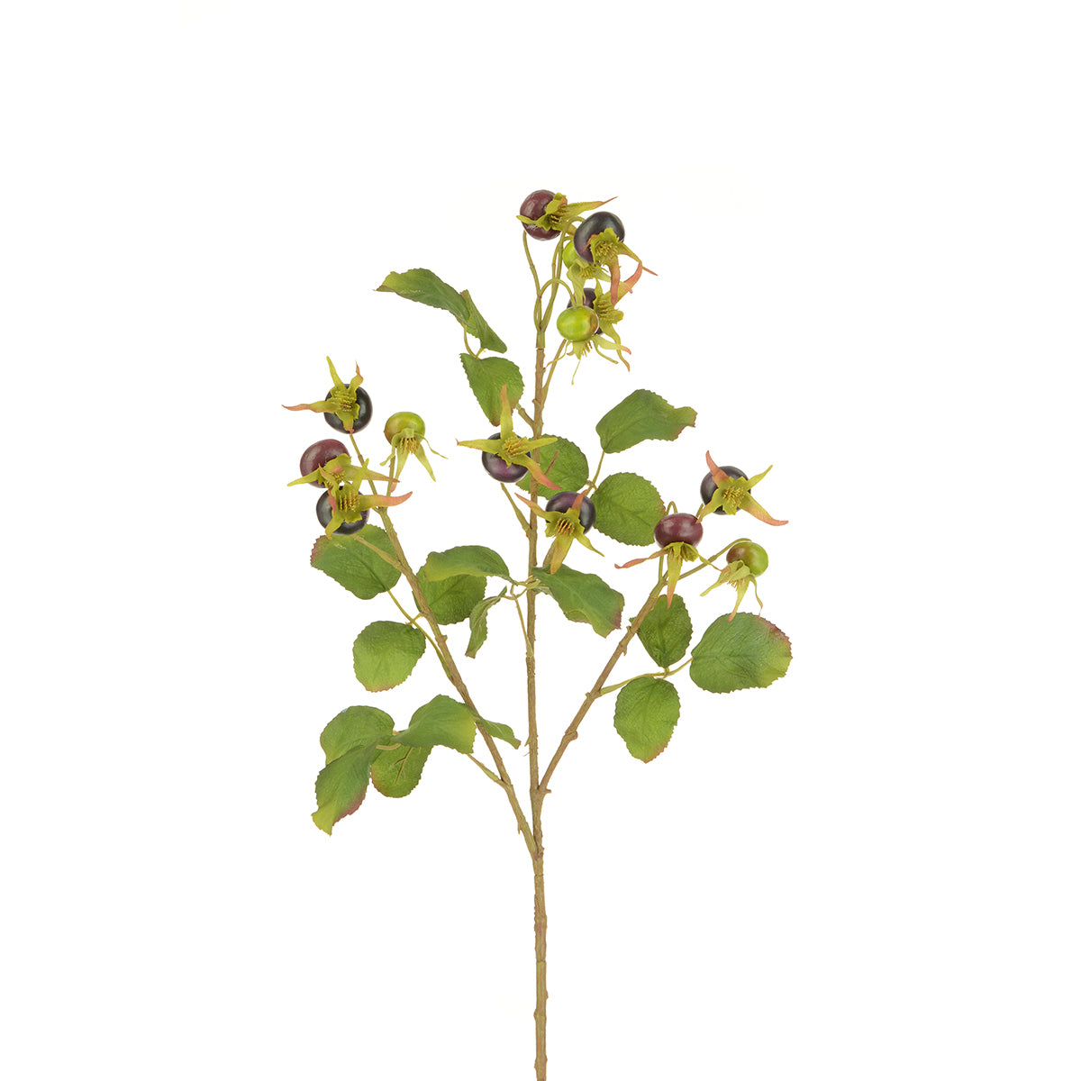 Rosehip Spray