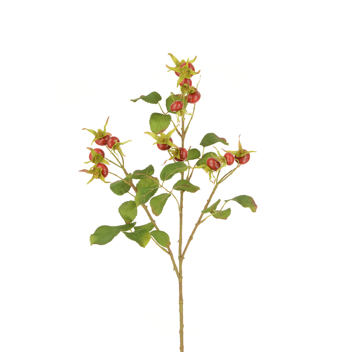Red Rosehip Spray