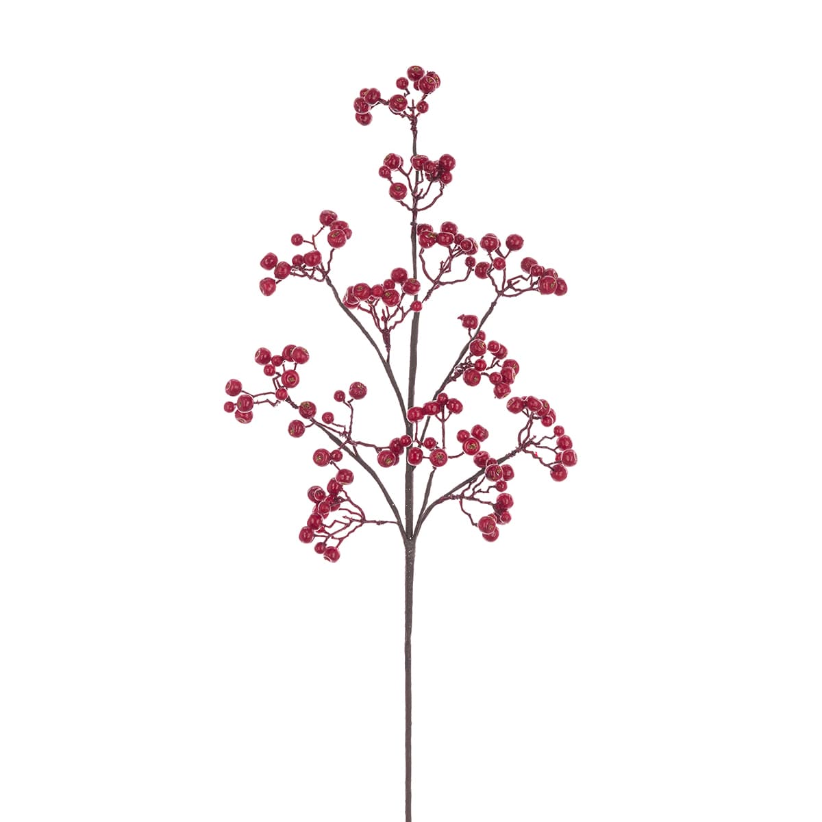 Currant Berry Spray